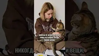 Не обижайте пушистиков 
