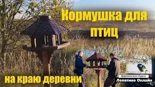 Поставили кормушку для птиц на краю деревни!