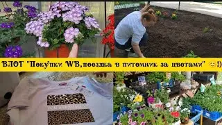 ВЛОГ