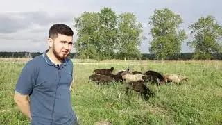 Куй бокиш бизнеси | Янгича йуналиш | Абдуллох Атабаев