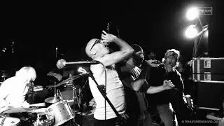 SHUB & FRIENDS