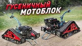 И снова говорим о гусеницах 