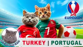 FELINE SHOWDOWN: KITTENS IN EURO CUP FOOTBALL 2024 PORTUGAL VS TURKEY