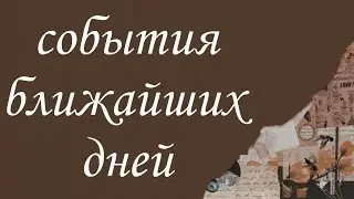 #таро