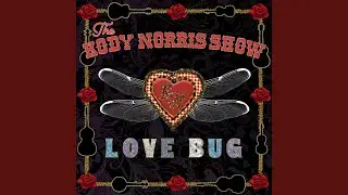 Love Bug