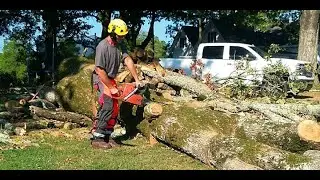 4 prominent benefits of hiring a tree removal service