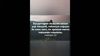 6 ноября 2022 г.