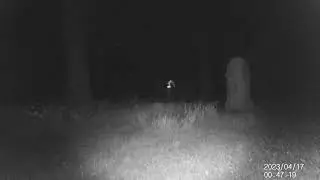 GHOST HUNTING ALONE at 800 Year Old Medieval Graveyard - RAW Night Vision Trail Cam Footage