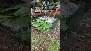 Laying down the Umu in Rarotonga. 