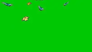 GREEN SCREEN BUTTERFLIES-2
