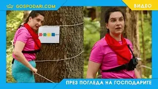 УРОК ПО МАТЕМАТИКА С ВЕНЕТА В "КЪЩАТА НА ИНФЛУЕНСЪРИТЕ"