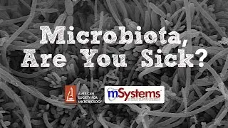 Microbiota, Are You Sick? - mSystems®