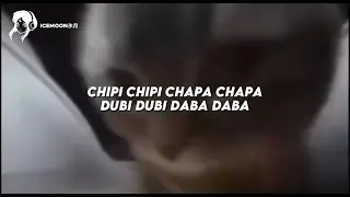 música VIRAL do gatinho que fala chipi chipi chapa chapa dubi dubi daba daba