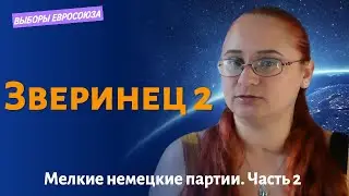 Кто хочет в Европарламент? Мелкие партии Германии. Часть 2. Евровыборы 2024.