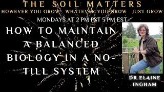 How To Maintain A Balanced Biology In A No-Till System