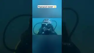 Дайвинг в Сочи