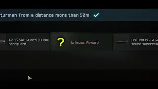 The luckiest Tarkov daily quest reward