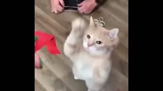 Kırmızı şeyi banağ veeğrer😻😻😻😻😻