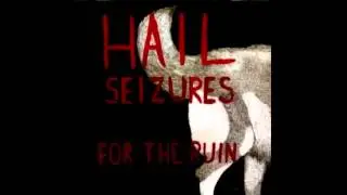 Hail Seizures - Song For the Ride