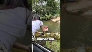 Failure after failure... but what did the hippopotamus do at the end of 