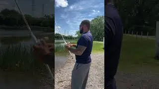 New fishing pole (Abu Garcia Veritas)