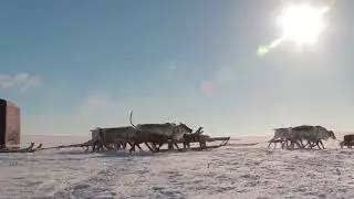 тизер 