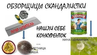 ОБЗОРЩИЦЫ СКАНДАЛИСТКИ РОЗА ШПАТЕЛЬ И КАЗАЧКА НАШЛИ СЕБЕ КОНКУРЕНТОК СПЛЕТНИЦА МАША И НИНА ОДУВАНЧИК