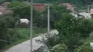 Nesa Zmaj