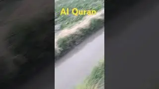 Quran Translation  🤲👑#allah #muhammadﷺ #allahakbar