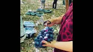 11 сентября 2021 г.
