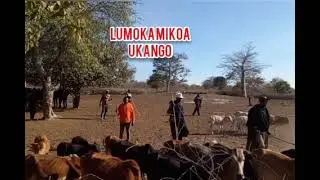 Lumoka _ Mikoa _ Ukango_Official Audio