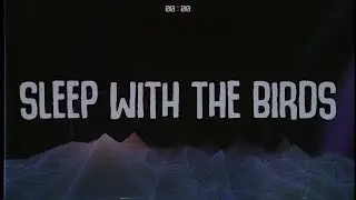 333Zilla - SLEEP WITH THE BIRDS
