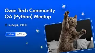 Ozon Tech Community QA (Python) Meetup