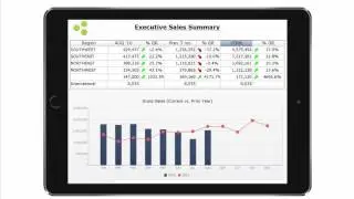 Demo: Dashboards with SAP BI Tools