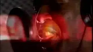 Cool Cop Rap
