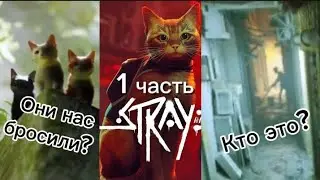 бездомные коты? (Stray - 1 часть)