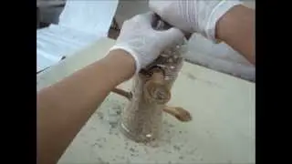 COMO HACER UN  COMEDERO PARA PAJAROS