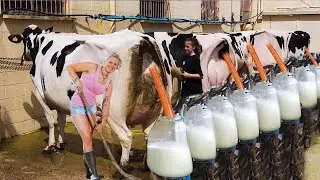 Modern Agriculture Machines That Are At Another Level