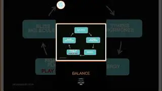 Bliss Out: The Science of Stress Relief! 