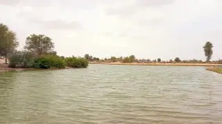 Al Qudra Lake Dubai - Part 1