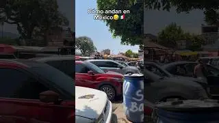 🤣 