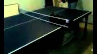Ping Pong loving kitten