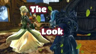 The Look - What All Men Fear  : Guildwars 2, DRMS