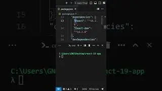 How to install react Js version 19 on MAC / WINDOWS / LINUX using Vite | @perfectwebsolutions