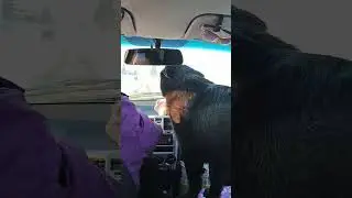 Хорошо сижу, далеко гляжу...🙂