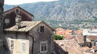 MVI 0909