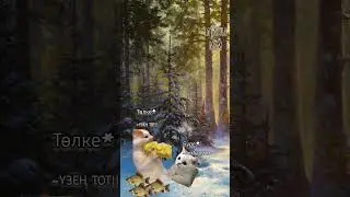 Татарча мем  "Төлке белән бүре" әкияте #татары #татарстан #татарча #татарлар