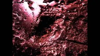 M.T.void - Toad