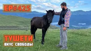 425. Нетуристическая Грузия. Тушети. Часть 2