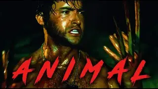 Wolverine || Animal